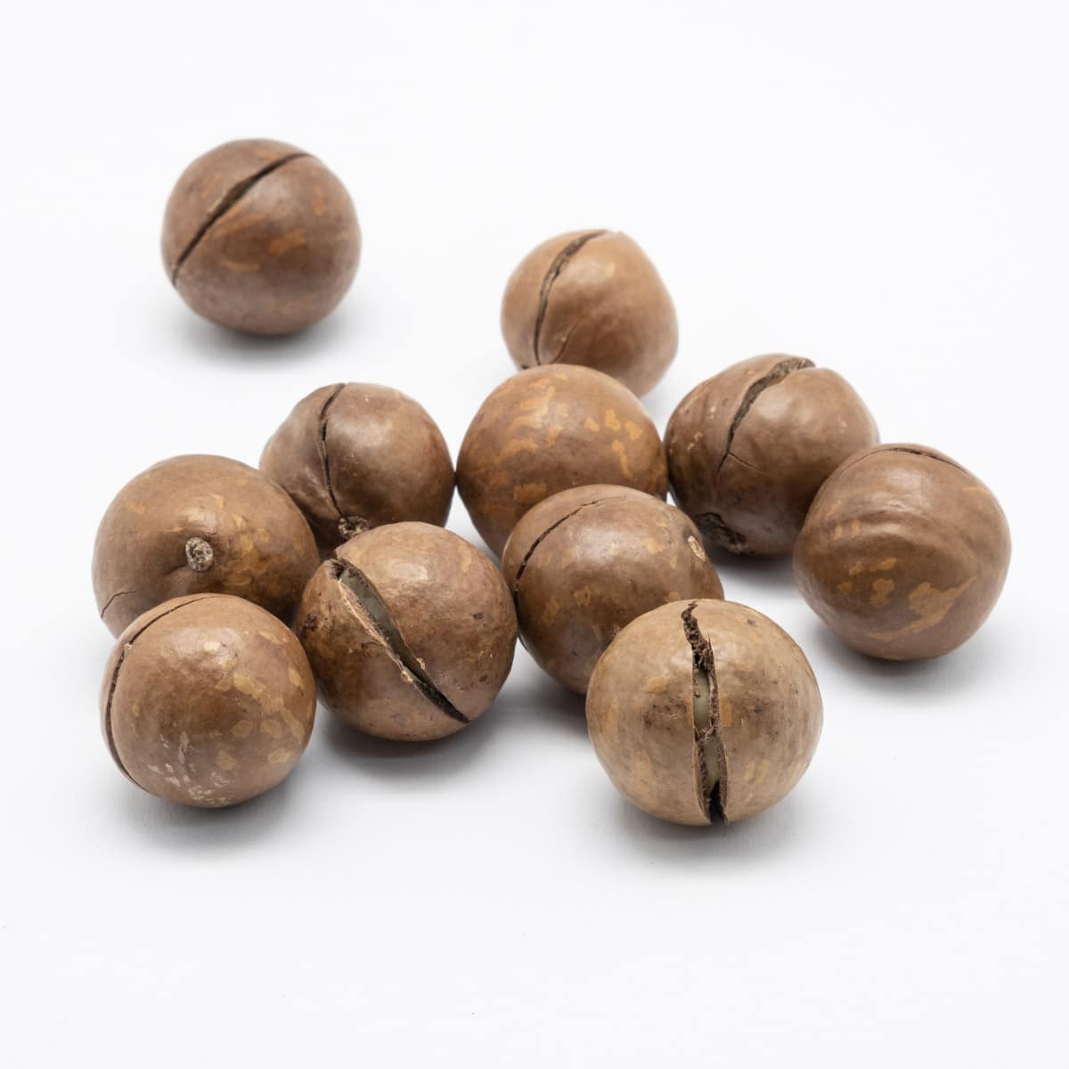 Noix de Macadamia BIO (entières, décortiquées) - riche en antioxydants