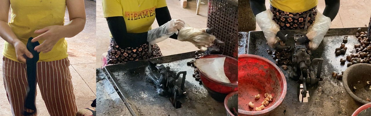 Vietnam Production manuelle et artisanale des noix de cajou