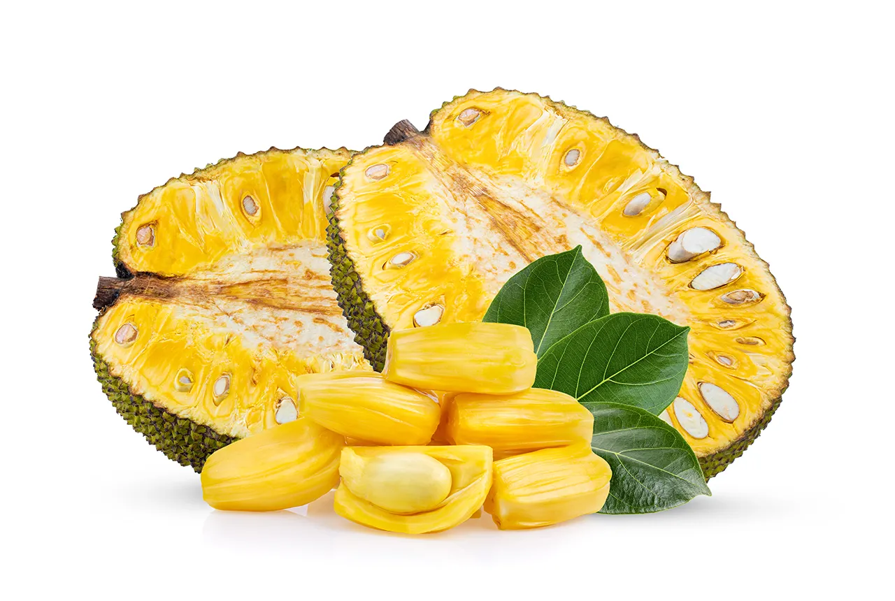 Fruit du jacquier